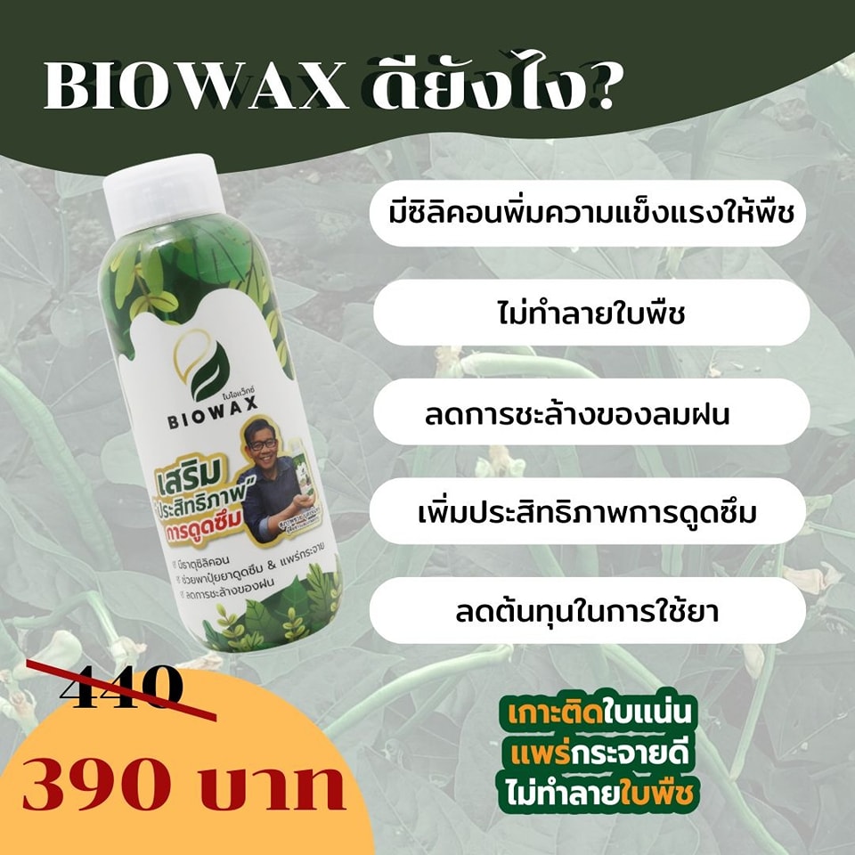 สารจับใบBiowax