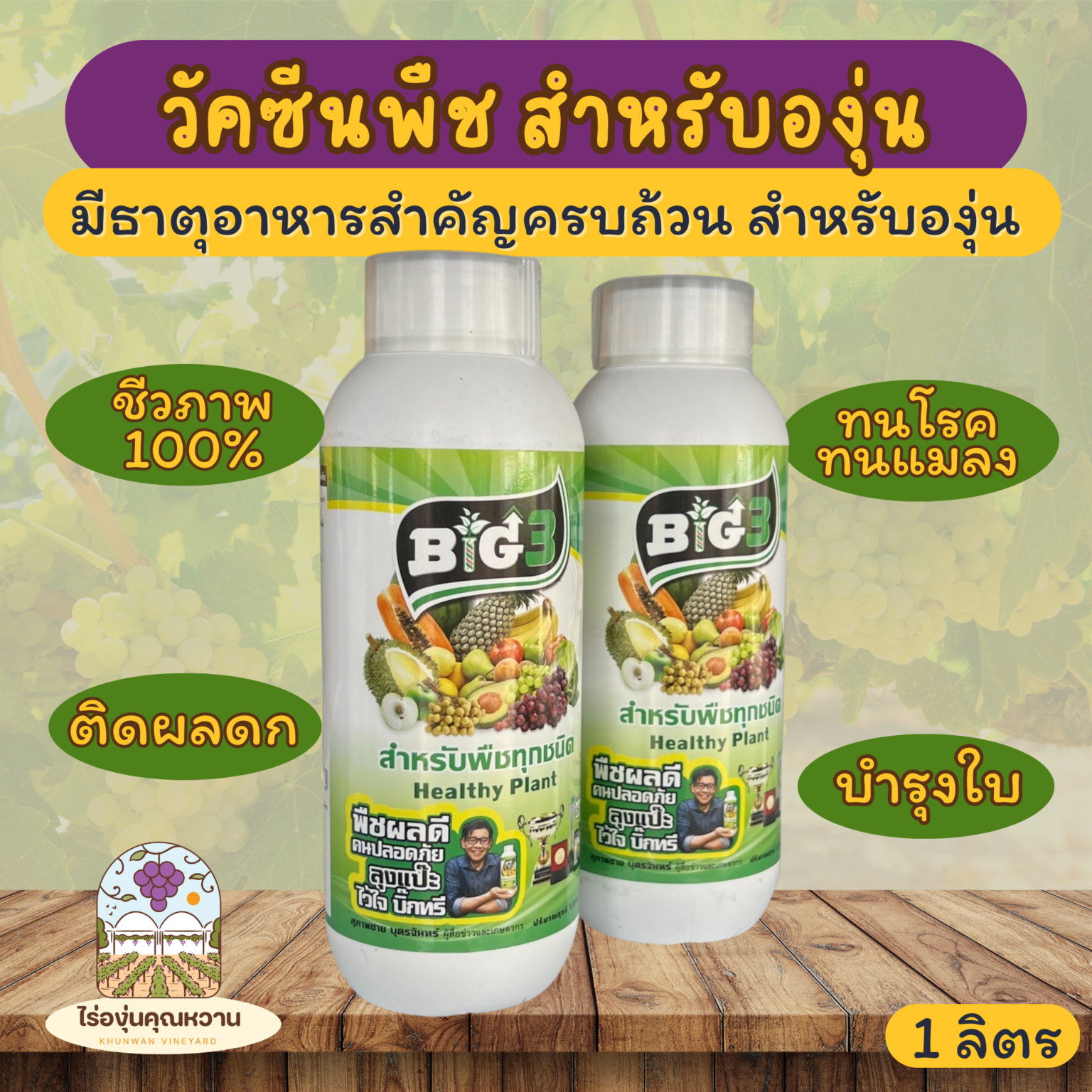 วัคซีนพืช BIG3